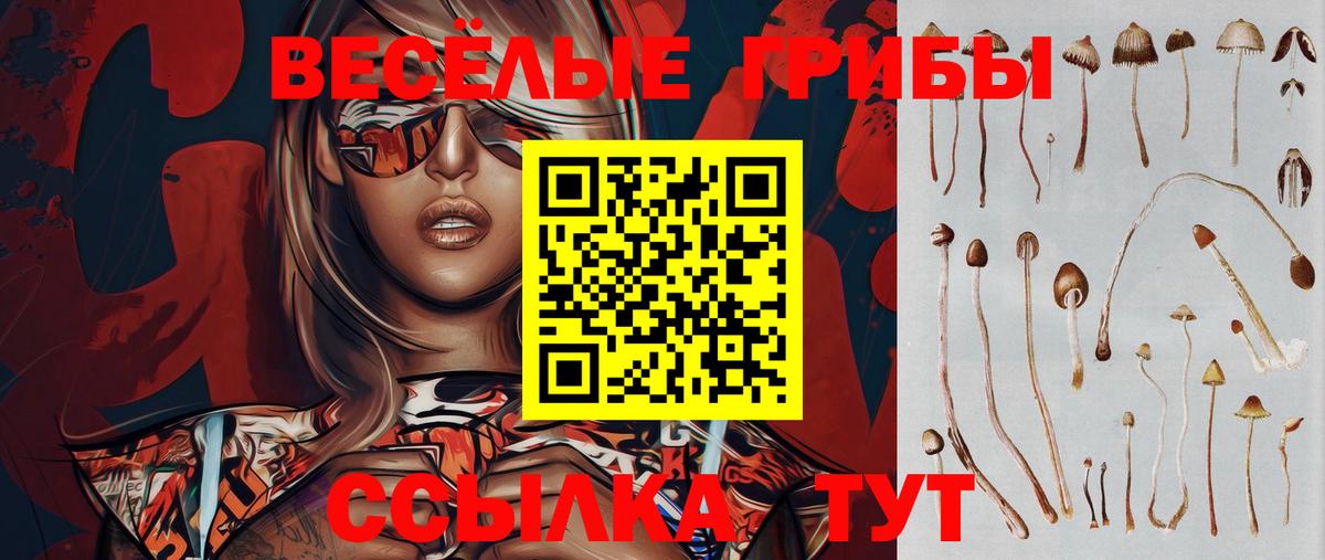 Псилоцибиновые грибы Psilocybine cubensis  Вход с VPN  где можно купить наркотик  Зима 