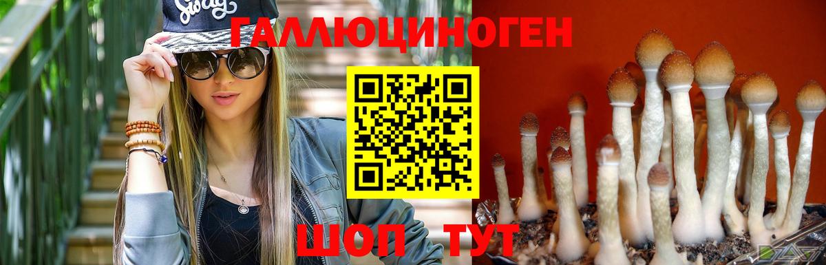 Псилоцибиновые грибы прущие грибы Зима