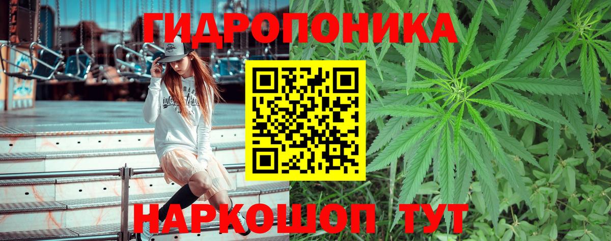 Конопля Bruce Banner  Бошки Шишки гибрид  Вход с VPN  Зима 